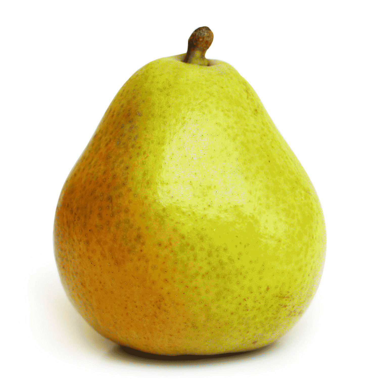 Fresh pear. Груша Пакхам. Груша Вильямс 1кг. Груша Пакхам Триумф. Груши Пакхам Вильямс, 1 кг.