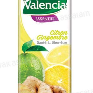 Jus de Citron Gingembre Valencia Essentiel1 L
