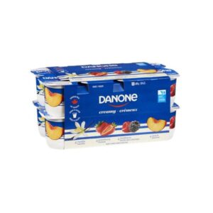 Yogourt Danone 16 x 100 g