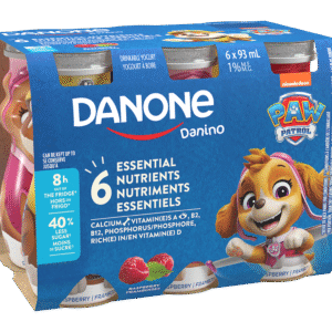 Yogourt à boire Framboises Danone 6 x 93 ml