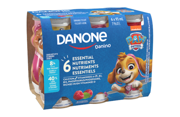 Yogourt à boire Framboises Danone 6 x 93 ml