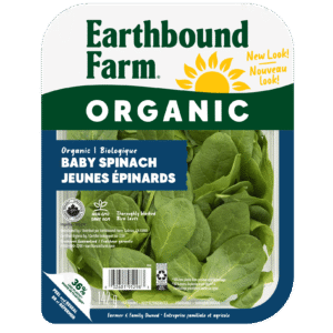 Laitue Earthbound Jeunes Épinards