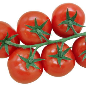 Tomates Gustative